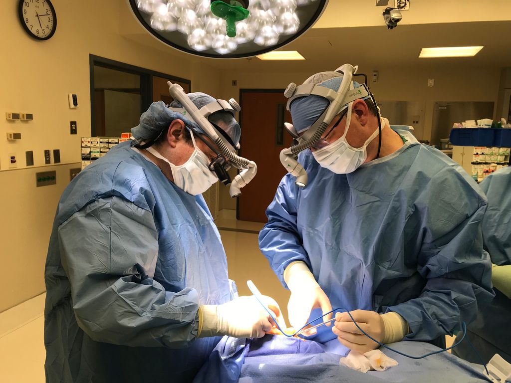 1769705480_83711b179673469bb719e3f499800c61